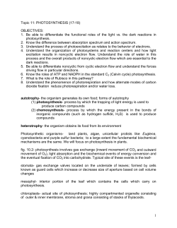 Topic 11: PHOTOSYNTHESIS