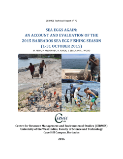 sea eggs again - University of the West Indies, Cave Hill Campus