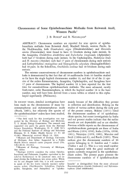Chromosomes of Some Opisthobranchiate Mollusks