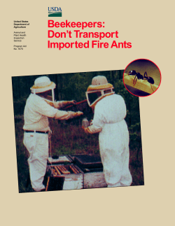 Beekeepers: Don`t Transport Imported Fire Ants