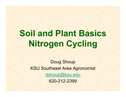 Soil and Plant Basics Nitrogen Cycling