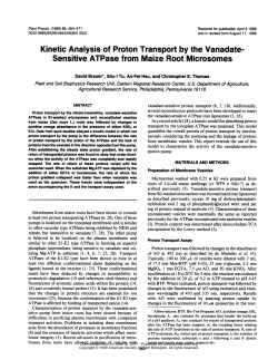 Kinetic Analysis of Proton Transport by the Vanadate
