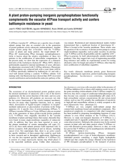 A plant proton-pumping inorganic pyrophosphatase functionally