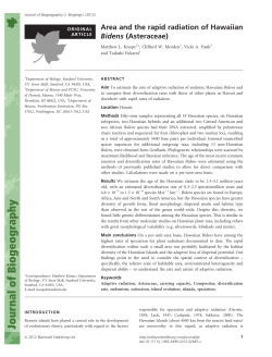 Area and the rapid radiation of Hawaiian Bidens