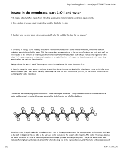 Insane in the membrane, part 1: Oil and water