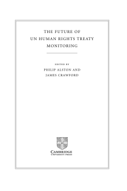 the future of un human rights treaty monitoring - Assets