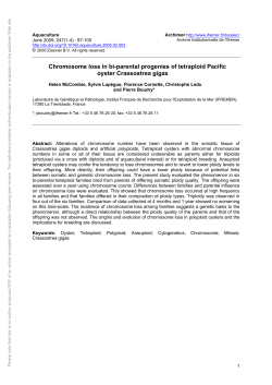 as a PDF