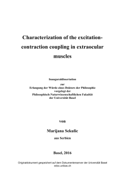 contraction coupling in extraocular muscles - edoc