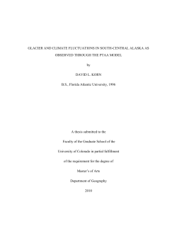 GLACIER AND CLIMATE FLUCTUATIONS IN SOUTH