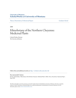 Ethnobotany of the Northern Cheyenne