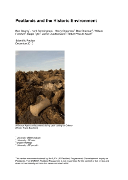 Peatlands and the Historic Environment
