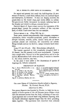 On a new Genus of Collembola (Sinella) allied to Degeeria, Nicolet.