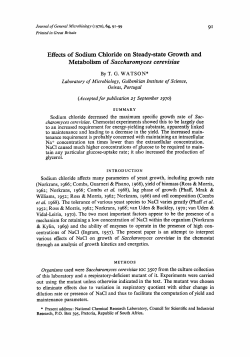 Effects of Sodium Chloride on Steady-state Growth