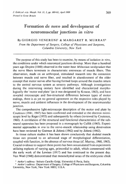 Formation de novo and development of neuromuscular