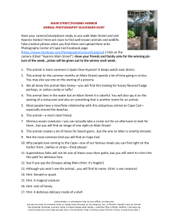 Animal Photo Scavenger Hunt