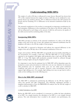 Understanding Milk EBVs