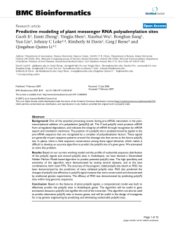 Predictive modeling of plant messenger RNA polyadenylation sites