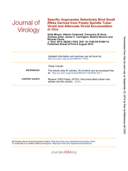 In Vivo Viroid and Attenuate Viroid Accumulation - RiuNet