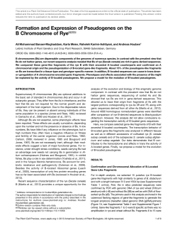 Formation and Expression of Pseudogenes on the B