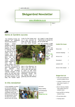 Sk&oacute;garr&ouml;nd Newsletter - Icelandic Horses Sk&oacute;garr&ouml;nd LTD
