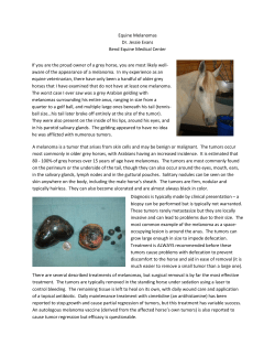 Equine Melanomas - The Bend Equine Medical Center