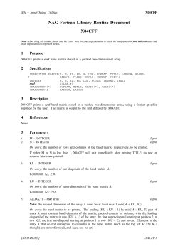 NAG Fortran Library Routine Document X04CFF
