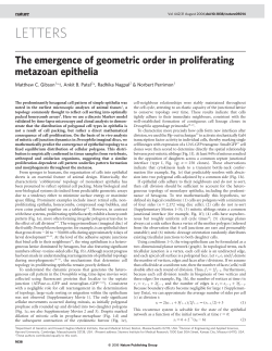 letters - UML Computer Science