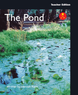 The Pond - Alpha Literacy