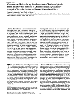 Chromosome Motion during Attachment to the Vertebrate Spindle