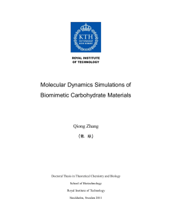 Molecular Dynamics Simulations of Biomimetic Carbohydrate