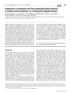 Comparison of mammalian cell lines expressing distinct isoforms of
