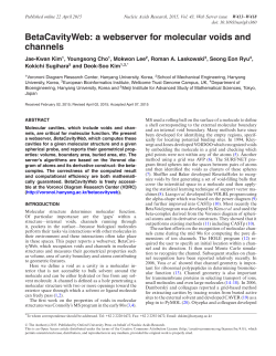 BetaCavityWeb: a webserver for molecular voids