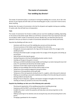 I want a Professional Wedding Planner