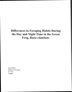 Differences in Foraging Habits During the Day and