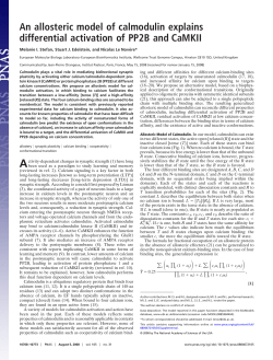 An allosteric model of calmodulin explains differential activation of