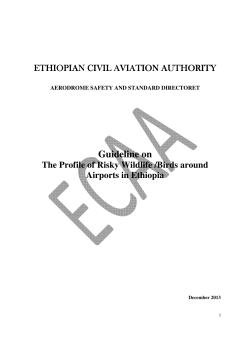 Guideline on - Ethiopian Civil aviation Authority