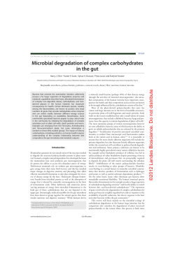 Microbial degradation of complex carbohydrates in the gut