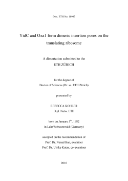 PDF - ETH E-Collection