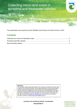 DOCCM-598715 Collecting micro land snails in terrestrial and