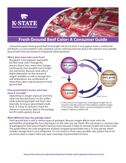 MF2957 Fresh Ground Beef Color: A Consumer