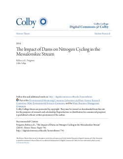 The Impact of Dams on Nitrogen Cycling in the Messalonskee Stream