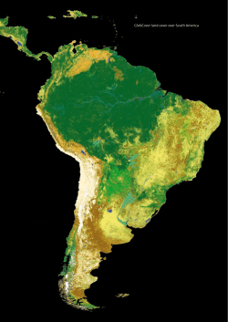 GlobCover land cover over South America