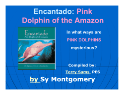 Encantado: Pink Dolphin of the Amazon