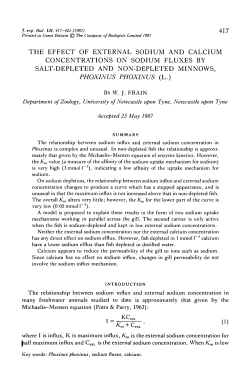 the effect of external sodium and calcium concentrations on sodium