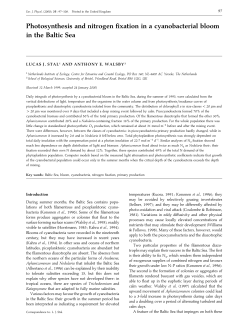 Photosynthesis and nitrogen fixation in a cyanobacterial bloom