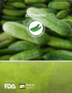 CUCUMBERS