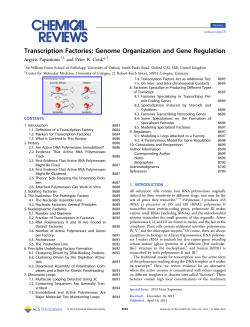 Transcription Factories: Genome Organization