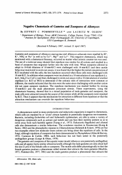Negative Chemotaxis of Gametes and Zoospores of