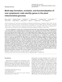Multi-step formation, evolution, and functionalization of new