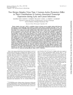 PFD file - University of Pittsburgh